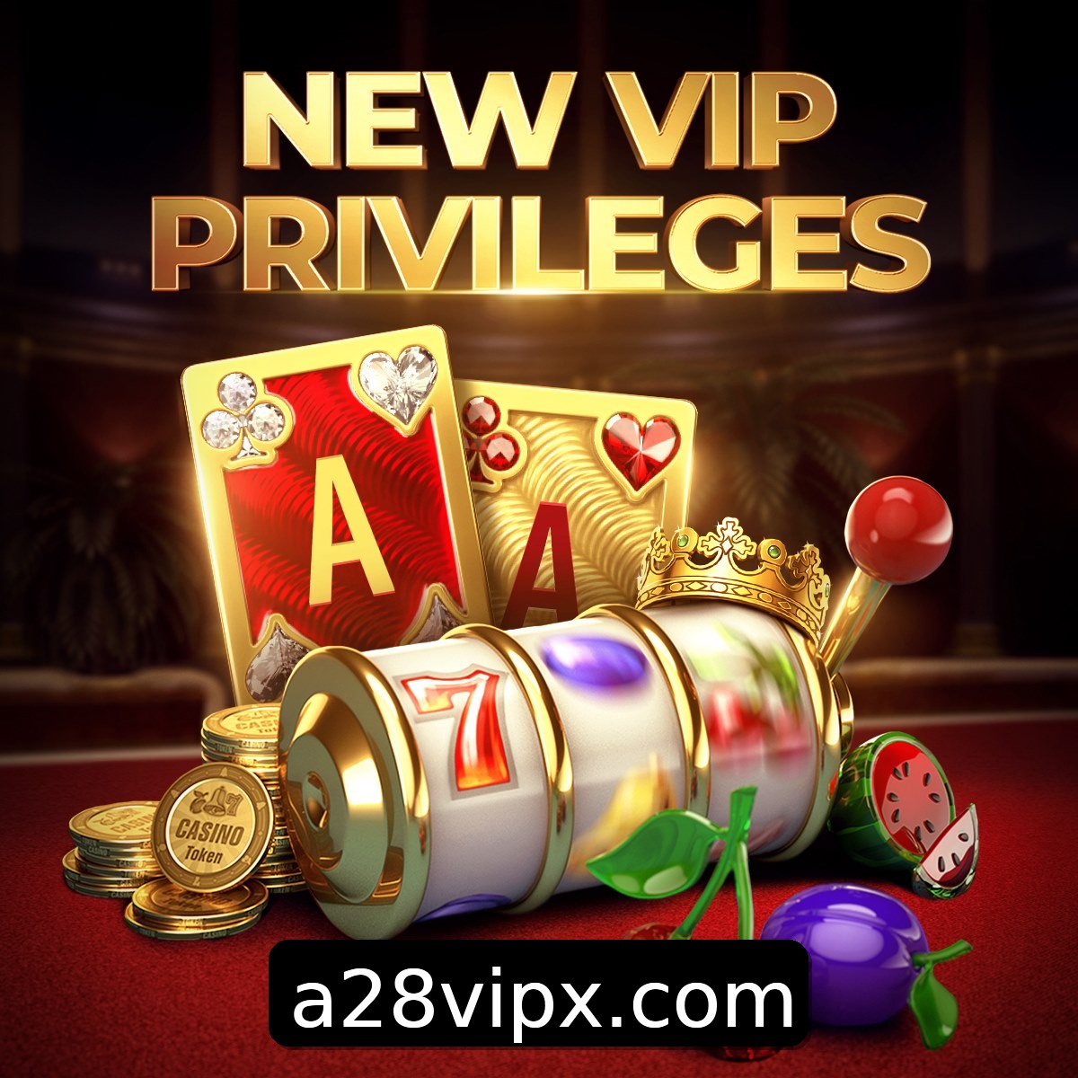 Programa VIP a28
